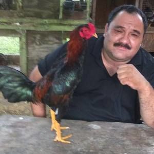 Meet your Posher, Tomas